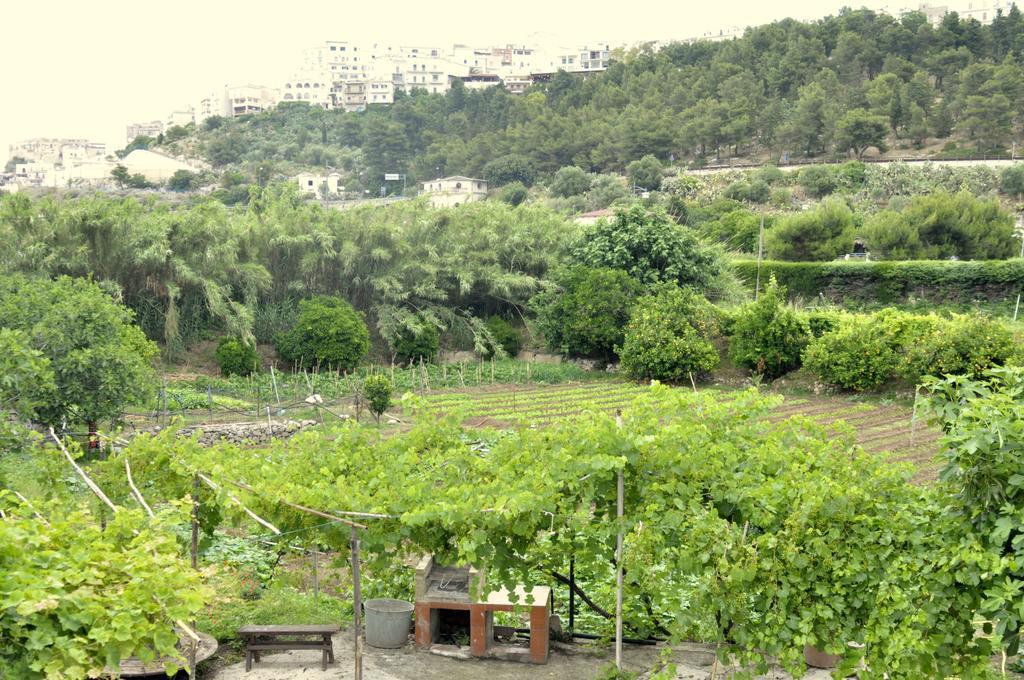 Casa Vacanze Villa Francesca Peschici Kültér fotó